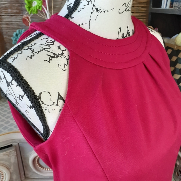 Fuchsia Ann Taylor Dress - Picture 4 of 4